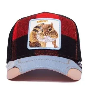Goorin Bros | Accessories | Nib Limited Edition Goorin  display picture 1